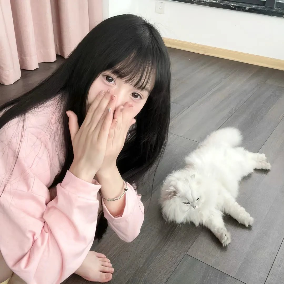 熊猫的大冒险